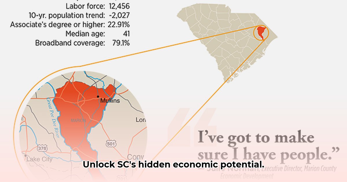 south-carolina-economic-development-map